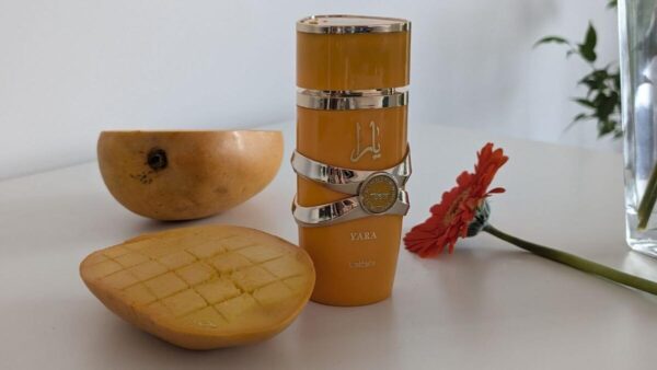 Yara Tous Perfumes 100ml - Image 6